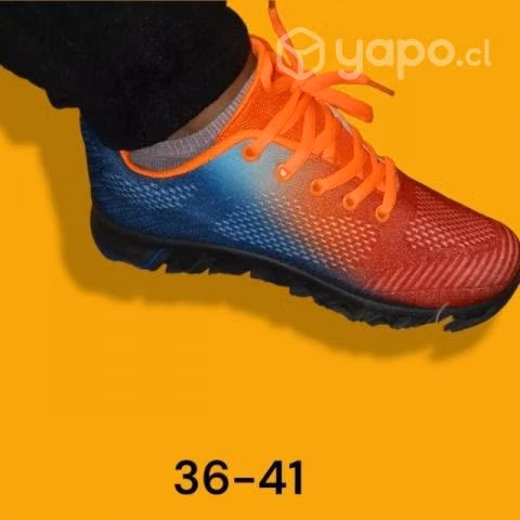 Zapatillas