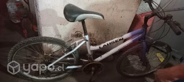 Gallinas + bicicleta aro 24 funcionando