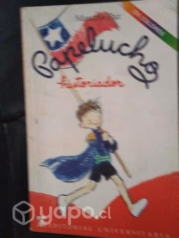 Papelucho historiador. Marcela Paz