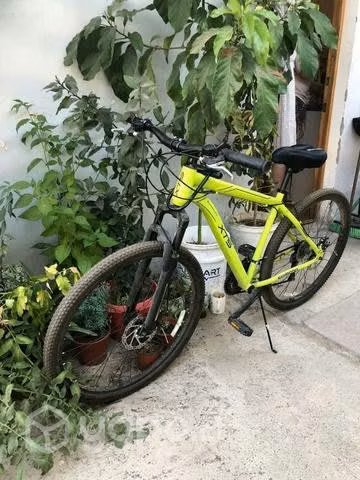 Bicicleta y lámpara artesanal