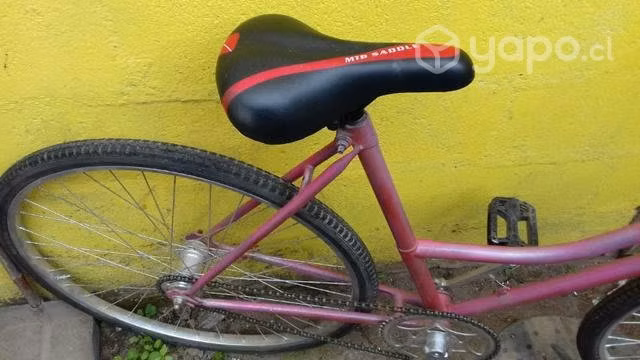 Bicicleta de Paseo