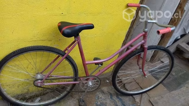 Bicicleta de Paseo