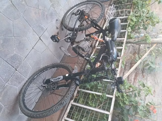 Bicimoto 2t - Imagen 2
