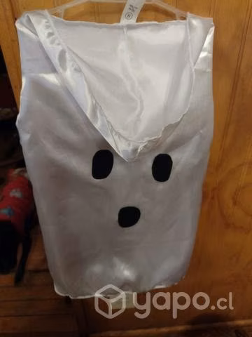 Hallowen mascotas - Imagen 2