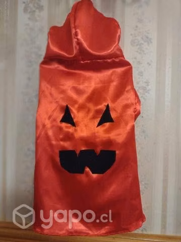 Hallowen mascotas - Imagen 5