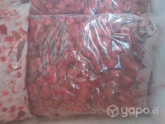 60kl de frambuesas congeladas - Imagen 2