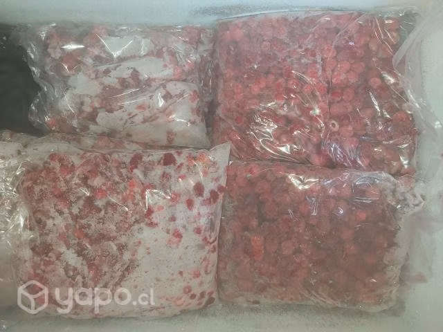 60kl de frambuesas congeladas - Imagen 3