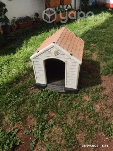 Casa perro petizoos