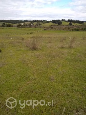 parcela ,paradero 6 , cabrales norte Yumbel