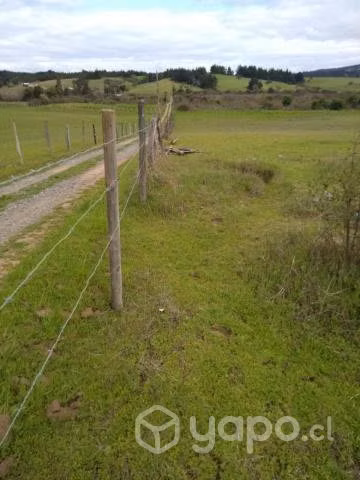 parcela ,paradero 6 , cabrales norte Yumbel