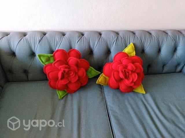 Cojines decorativos el par