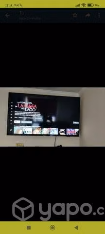 Televisor
