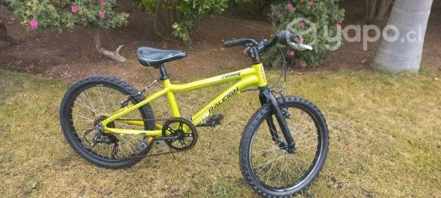 bicicleta raleigh