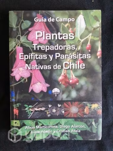 Plantas Trepadoras