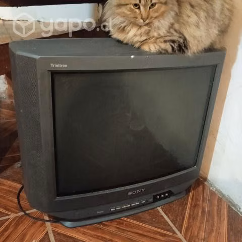 Televisor 21 pulgadas