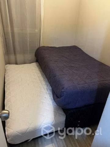 Cama nido plaza 1.5 base ROSEN