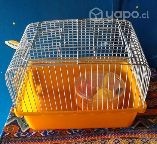 Ratón de laboratorio