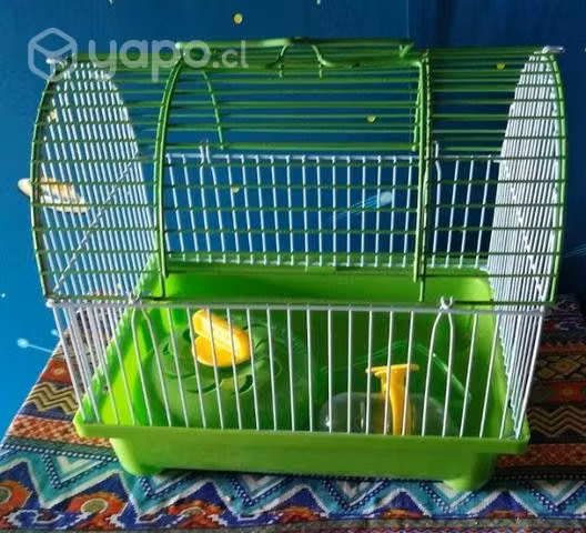 Ratón de laboratorio