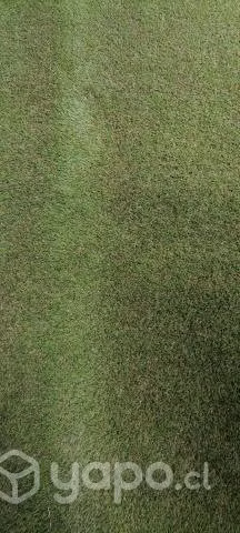 trozo pasto sintetico