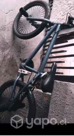 Bmx Paragon