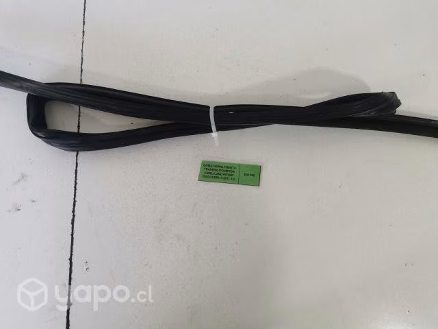 Goma Vidrio Puerta Trasera Izquierda (LD82) Land R