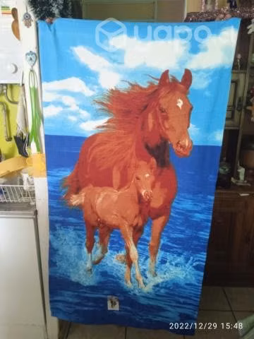 toallas de playa diseños variados