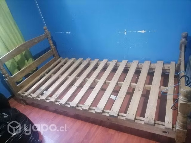 Cama