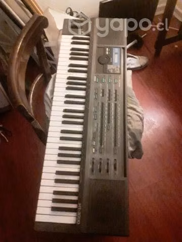 Organo casio