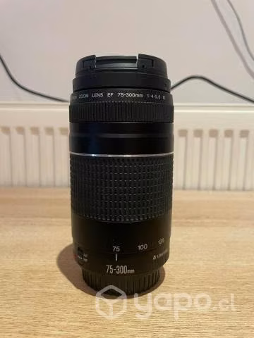 Cámara T6 + kit