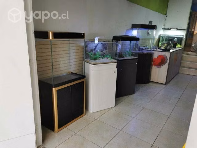 Acuarios con mueble - Imagen 2