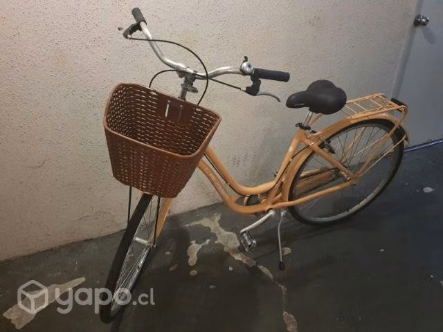 Bicicleta Paseo Aro 29
