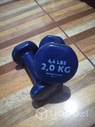 Par mancuernas 2kg
