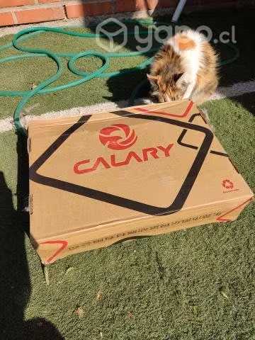 Patines de linea Marca Calary