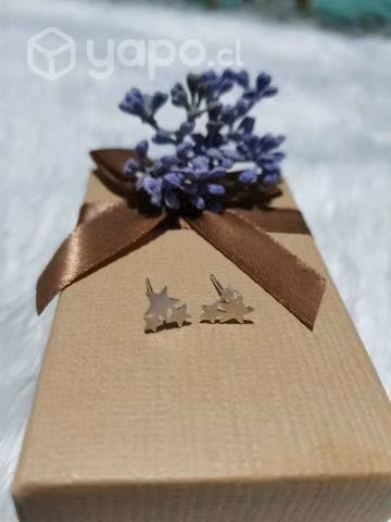 Aros exclusivos mini chanchitos