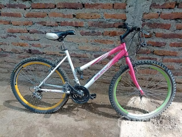 Bicicletas de montaña Avalanche