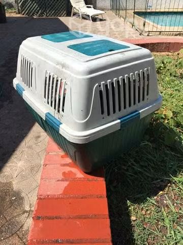 Caja transporte animales