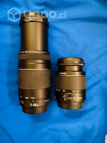 Canon EOS Rebel T6 Kit T100