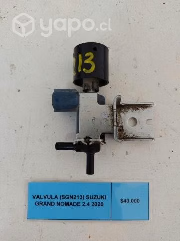 Valvula (SGN213) Suzuki Grand Nomade 2.4 2020