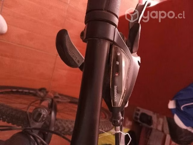 Bicicleta