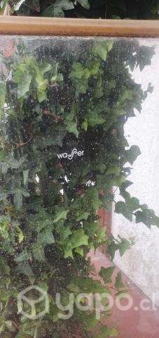 Shower Door - Imagen 2