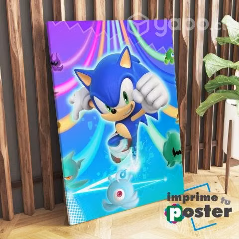 CUADRO SONIC TELA PVC 40x60cm llegar y colgar