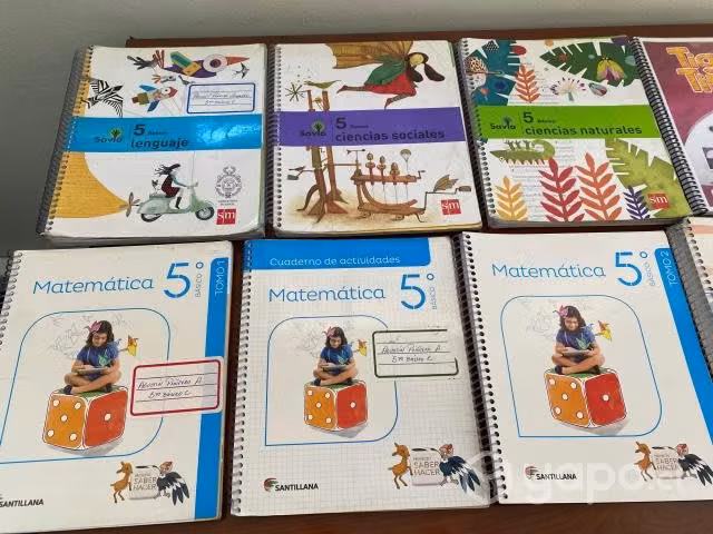Libros Escolares 5° y 6° básico Savia y Santillana