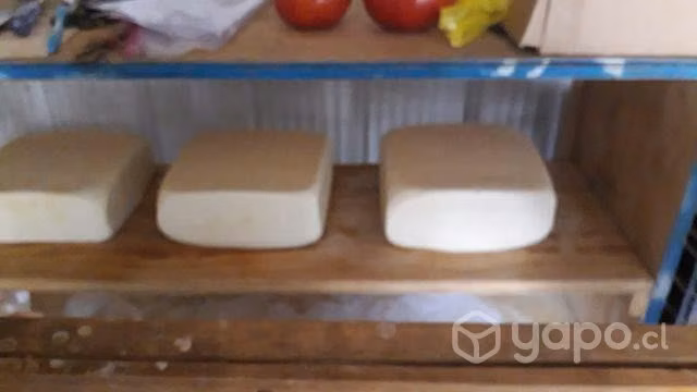 Queso de cabra