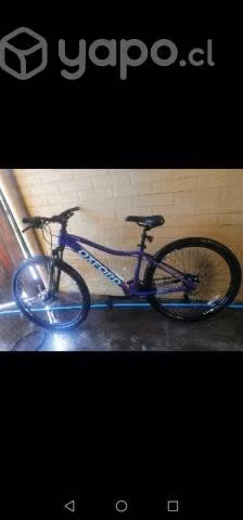 Oxford mujer 27. 5 excelente estado