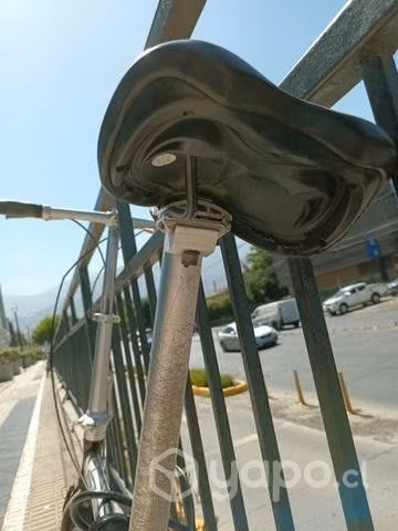 Bicicleta Plegable [requiere mantención]