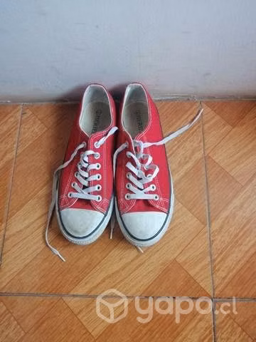 Zapatillas