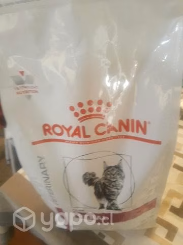 Comida Royal Canin Renal gato