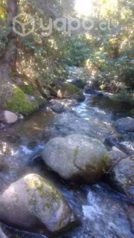 Parcela 2ha con estero 7 Tazas