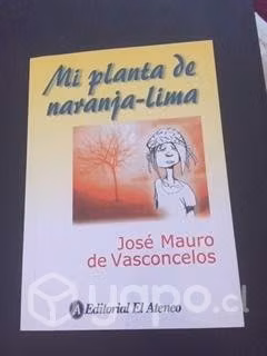 Mi planeta de naranja lima