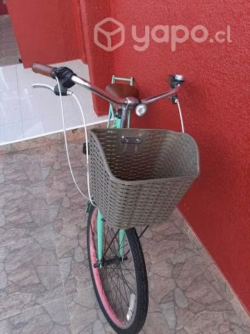 Bicicleta de paseo aro 24